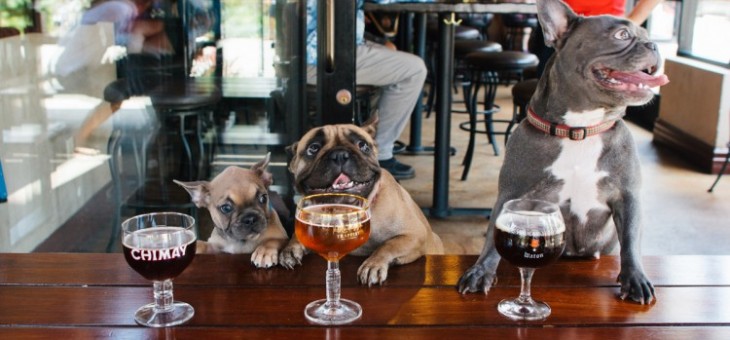 Dog Friendly Pubs & Restaurants in Edinburgh