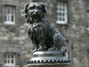 Greyfriars Bobby Dog